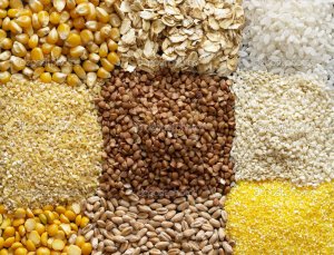 Olam dự báo giá ngũ cốc ở mức thấp trong năm 2017