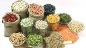 FAO n&acirc;ng dự b&aacute;o sản lượng ngũ cốc thế giới năm 2018