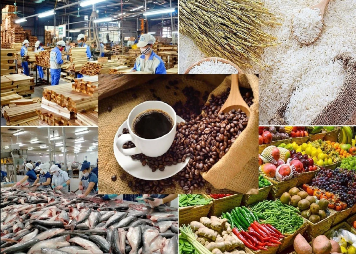 Nhập khẩu n&ocirc;ng l&acirc;m thủy sản 5 th&aacute;ng đầu năm đạt hơn 22 tỷ USD, tăng 12,6%