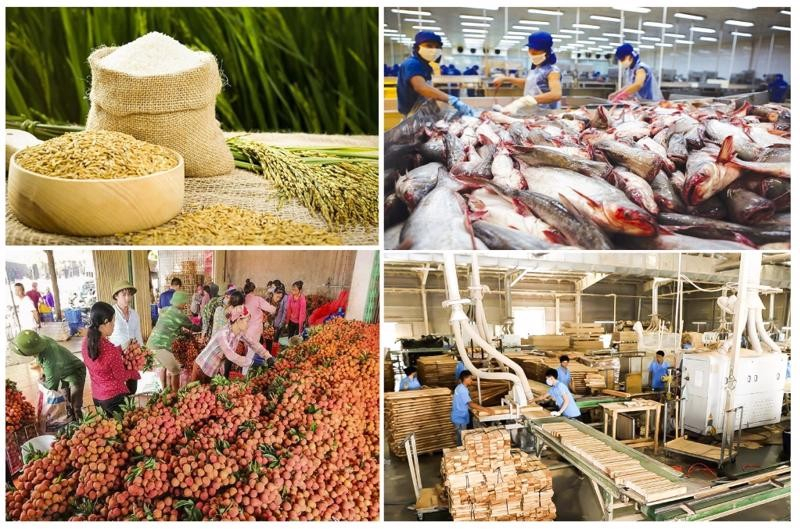 Những th&aacute;ch thức v&agrave; triển vọng xuất khẩu n&ocirc;ng, l&acirc;m, thuỷ sản Việt Nam: Hướng tới nền n&ocirc;ng nghiệp bền vững trong thập ni&ecirc;n tới