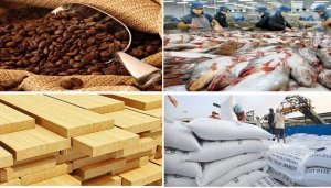N&ocirc;ng, l&acirc;m nghiệp v&agrave; thủy sản tăng 3,82% trong 6 th&aacute;ng đầu năm