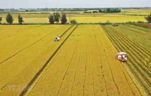 Nhiều ch&iacute;nh s&aacute;ch mới đột ph&aacute; về đất n&ocirc;ng nghiệp trong Luật Đất đai (sửa đổi) 
