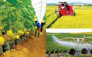 Phương ph&aacute;p tiếp cận mới cho cảnh quan n&ocirc;ng nghiệp