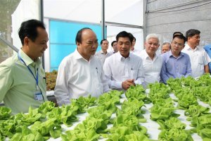 X&acirc;y dựng nền n&ocirc;ng nghiệp th&ocirc;ng minh hiện đại