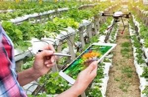 Người Do Th&aacute;i dạy trẻ con l&agrave;m n&ocirc;ng nghiệp, trở th&agrave;nh những thanh ni&ecirc;n biết l&agrave;m gi&agrave;u