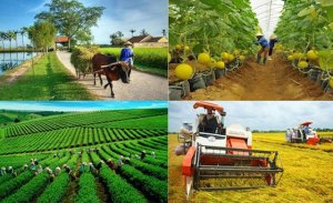 Chiến lược ph&aacute;t triển ng&agrave;nh nghề n&ocirc;ng th&ocirc;n đến năm 2030, tầm nh&igrave;n đến năm 2045