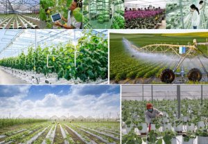 8 giải ph&aacute;p thực hiện mục ti&ecirc;u tăng trưởng của ng&agrave;nh N&ocirc;ng nghiệp v&agrave; M&ocirc;i trường