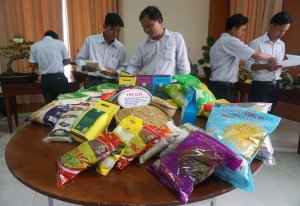 Đông Nam bộ và ĐBSCL: HTX kiểu mới, bước tiến mới