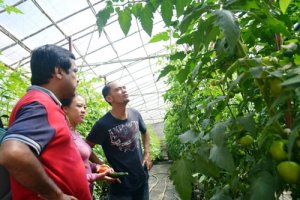 N&ocirc;ng nghiệp th&ocirc;ng minh - bước đi ban đầu ở Việt Nam
