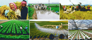 Nh&igrave;n lại cuộc Tổng điều tra n&ocirc;ng th&ocirc;n, n&ocirc;ng nghiệp v&agrave; thủy sản năm 2016