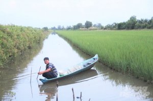 ĐBSCL chuyển m&igrave;nh sang kinh tế xanh, n&ocirc;ng nghiệp tuần ho&agrave;n