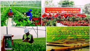 N&ocirc;ng nghiệp, n&ocirc;ng d&acirc;n, n&ocirc;ng th&ocirc;n lu&ocirc;n l&agrave; vấn đề chiến lược