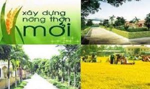 Một năm th&agrave;nh c&ocirc;ng trong x&acirc;y dựng n&ocirc;ng th&ocirc;n mới