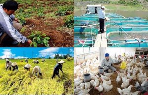 Bức tranh n&ocirc;ng nghiệp qu&yacute; 1/2022: Sản xuất l&uacute;a, chăn nu&ocirc;i gặp kh&oacute;, thủy sản v&agrave; l&acirc;m nghiệp tăng trưởng t&iacute;ch cực
