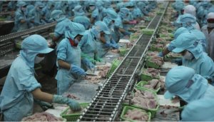 Xuất khẩu n&ocirc;ng l&acirc;m thuỷ sản th&aacute;ng 1: Bức tranh đa dạng sắc m&agrave;u