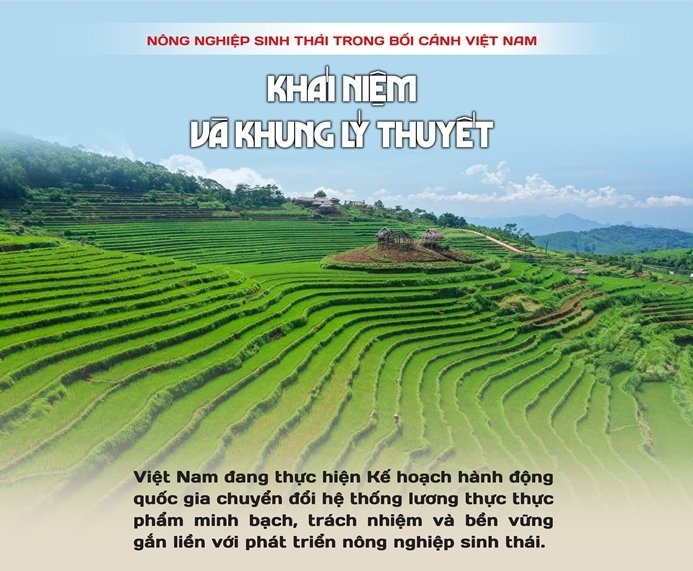 N&ocirc;ng nghiệp sinh th&aacute;i trong bối cảnh Việt Nam: kh&aacute;i niệm v&agrave; khung l&yacute; thuyết 