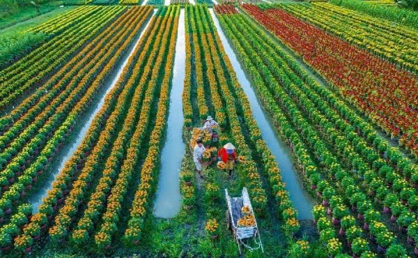 N&ocirc;ng nghiệp Việt Nam 2026: Từ sức mạnh nội tại đến tầm nh&igrave;n hệ sinh th&aacute;i to&agrave;n cầu