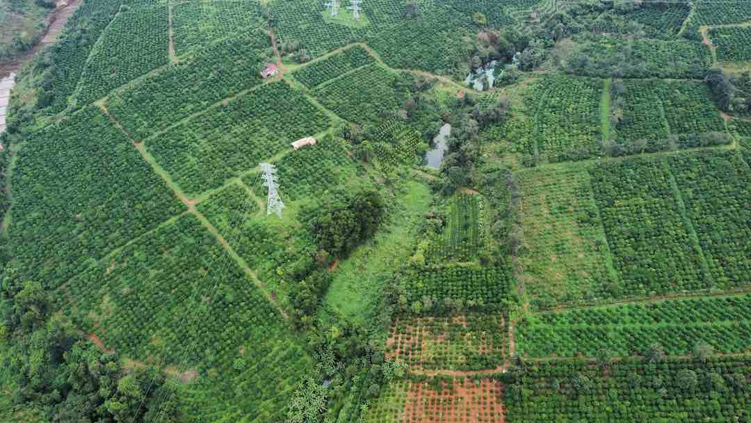 N&ocirc;ng nghiệp Việt trong kỷ nguy&ecirc;n xanh: Tạo sức bật từ ch&iacute;nh s&aacute;ch c&ocirc;ng