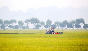 Th&uacute;c đẩy `đại điền` trong sản xuất n&ocirc;ng nghiệp