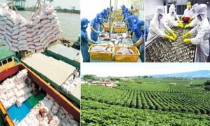 T&igrave;nh h&igrave;nh thị trường n&ocirc;ng sản v&agrave; ph&acirc;n b&oacute;n th&aacute;ng 11/2016