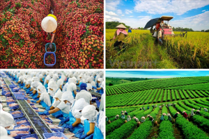 Ng&agrave;nh n&ocirc;ng nghiệp đặt mục ti&ecirc;u thu h&uacute;t 25 tỷ USD vốn FDI v&agrave;o năm 2030
