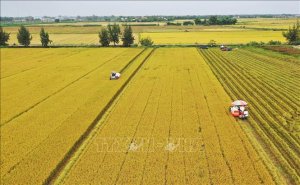 Chuyển đổi số ng&agrave;nh n&ocirc;ng nghiệp n&ecirc;n bắt đầu từ đ&acirc;u?