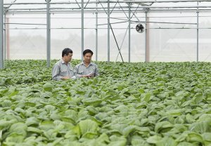 Bộ trưởng L&ecirc; Minh Hoan: `Chim sẻ` hợp lại sức mạnh s&aacute;nh ngang `đại b&agrave;ng`