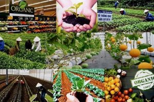 Ng&agrave;nh n&ocirc;ng nghiệp phải c&oacute; những giải ph&aacute;p &ldquo;biến điều kh&ocirc;ng thể th&agrave;nh c&oacute; thể&rdquo;