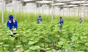 Thực hiện sứ mệnh đổi mới n&ocirc;ng nghiệp th&iacute;ch ứng với biến đổi kh&iacute; hậu