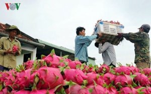 Nền n&ocirc;ng nghiệp Việt Nam một năm trỗi dậy
