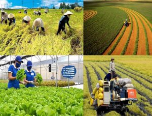 Quy m&ocirc; t&agrave;i trợ chuỗi cung ứng n&ocirc;ng sản c&ograve;n rất nhỏ