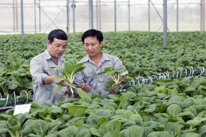 EVFTA mở ra tiềm năng lớn đối với n&ocirc;ng nghiệp hữu cơ 