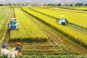 Kh&aacute;t vọng bứt ph&aacute; của ng&agrave;nh n&ocirc;ng nghiệp năm 2020