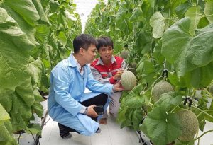 Li&ecirc;n kết chuỗi gi&aacute; trị n&ocirc;ng sản vướng nhiều r&agrave;o cản