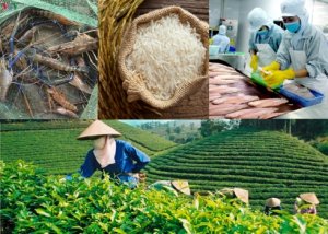 Bảo vệ thương hiệu n&ocirc;ng sản Việt để gia tăng gi&aacute; trị xuất khẩu