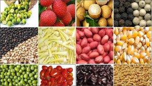 Triển vọng nguồn cung sẽ l&agrave; yếu tố c&oacute; thể gi&uacute;p gi&aacute; đậu tương hồi phục từ v&ugrave;ng 1340