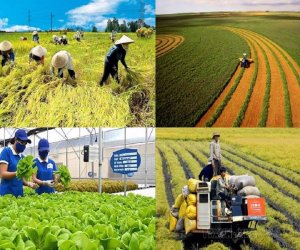 ASEAN đ&aacute;nh gi&aacute; Việt Nam l&agrave; điểm s&aacute;ng về ph&aacute;t triển n&ocirc;ng th&ocirc;n 