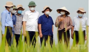 N&ocirc;ng nghiệp tr&aacute;ch nhiệm nh&igrave;n từ sức khỏe c&acirc;y trồng 