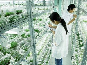 Ng&agrave;nh n&ocirc;ng nghiệp: Thiếu hụt trầm trọng nh&acirc;n lực tr&igrave;nh độ cao