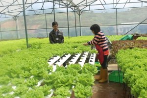 N&ocirc;ng nghiệp tiếp tục l&agrave; trụ đỡ của nền kinh tế