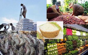 Đề xuất 4 ch&iacute;nh s&aacute;ch ph&aacute;t triển nh&atilde;n hiệu, thương hiệu n&ocirc;ng sản Việt Nam