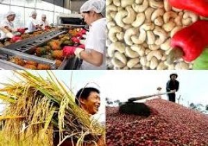 Bản tin thị trường c&ocirc;ng nghiệp nhẹ ng&agrave;y 16/1/2020