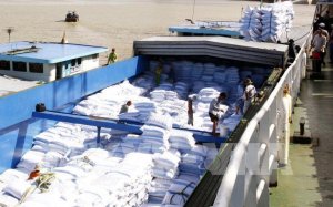 Thị trường n&ocirc;ng sản tuần qua: Gi&aacute; l&uacute;a gạo tăng, gi&aacute; c&agrave; ph&ecirc;, ti&ecirc;u lao dốc