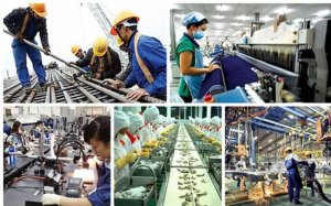 Ph&ecirc; duyệt Chương tr&igrave;nh quốc gia về tăng năng suất lao động
