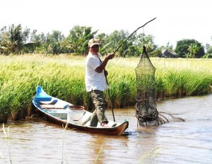 Xây dựng mô hình phát triển kinh tế thích ứng với xâm nhập mặn 