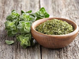FSAI tiết lộ m&aacute;y qu&eacute;t thực phẩm nhận dạng th&agrave;nh phần