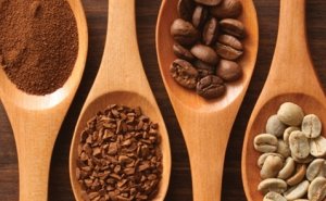Arabica liệu c&oacute; mất vị thế 