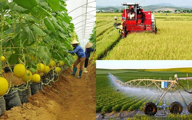 PCGI: Th&uacute;c đẩy HTX n&ocirc;ng nghiệp ph&aacute;t triển theo hướng hiện đại, li&ecirc;n kết v&agrave; bền vững
