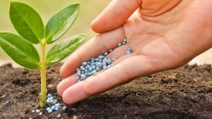 Thị trường xuất khẩu ph&acirc;n b&oacute;n 5 th&aacute;ng đầu năm 2024 