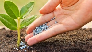 Xuất khẩu ph&acirc;n b&oacute;n 10 th&aacute;ng năm 2023 giảm cả lượng v&agrave; kim ngạch